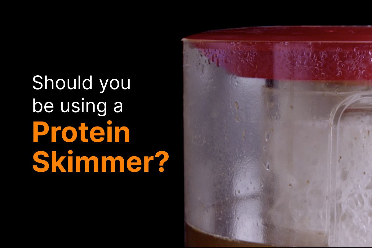 The Role Of Protein Skimmers Do You Need One For Your Saltwater Tank