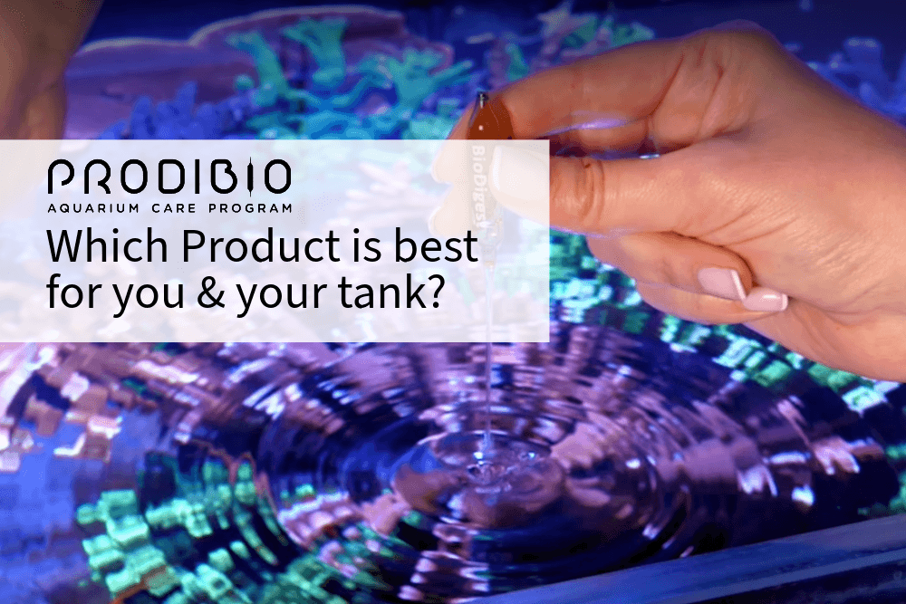 Prodibio Aquarium Treatments Explained: Which Product Do You Need? - Perfect Aquatics Ltd