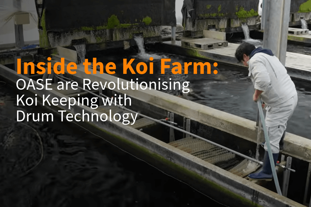 OASE Revolutionising Koi Keeping with Drum Technology - Perfect Aquatics Ltd