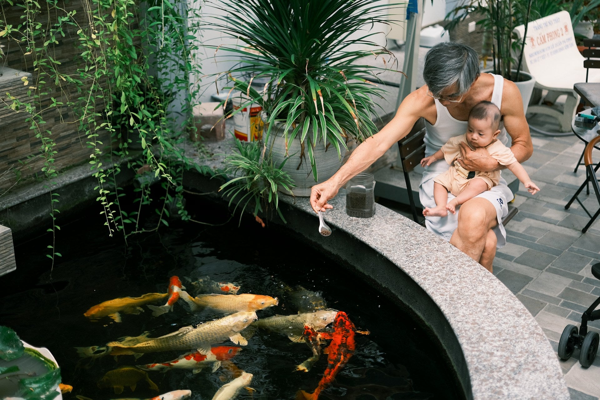 Creating the Perfect Koi Pond: Design, Filtration, and Aesthetic Features - Perfect Aquatics Ltd