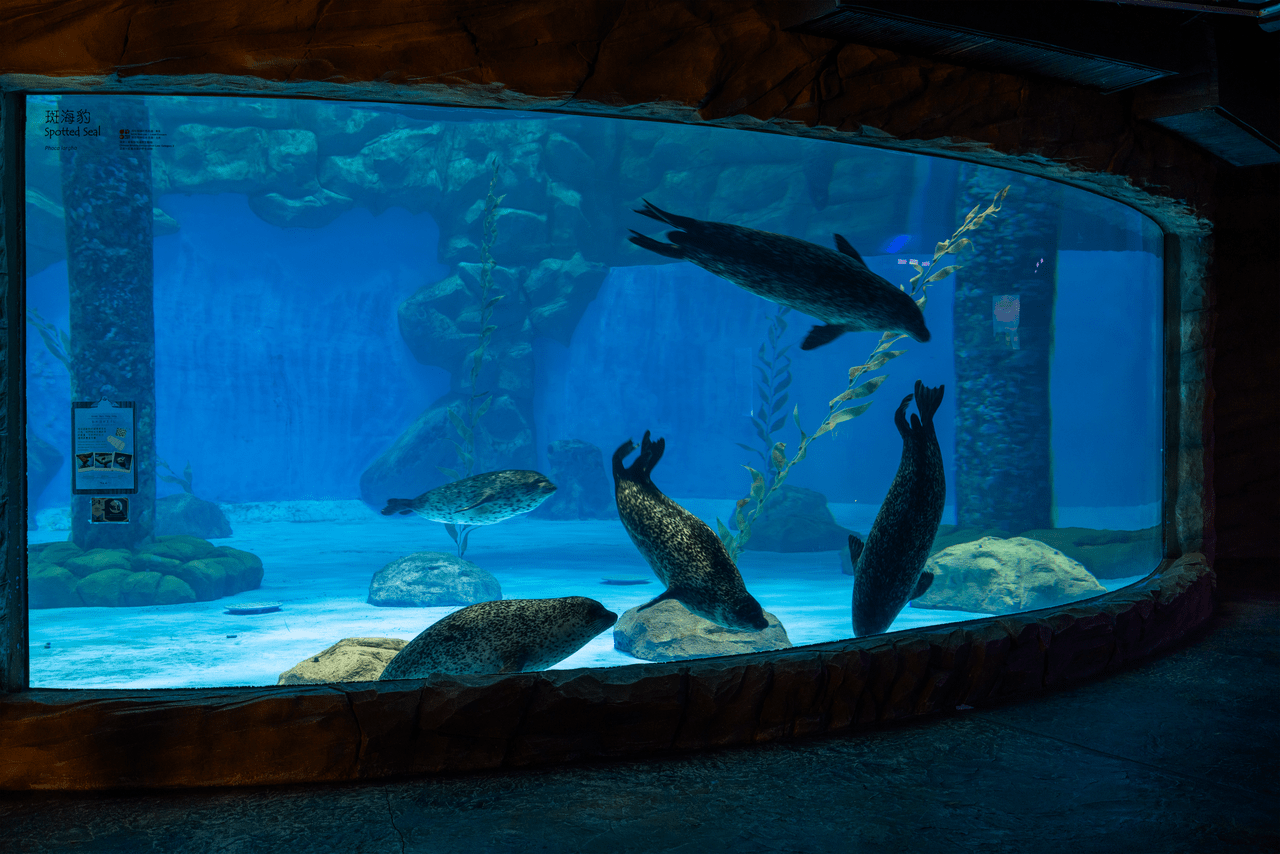 The Ultimate Guide to Setting Up Your First Freshwater Aquarium - Perfect Aquatics Ltd