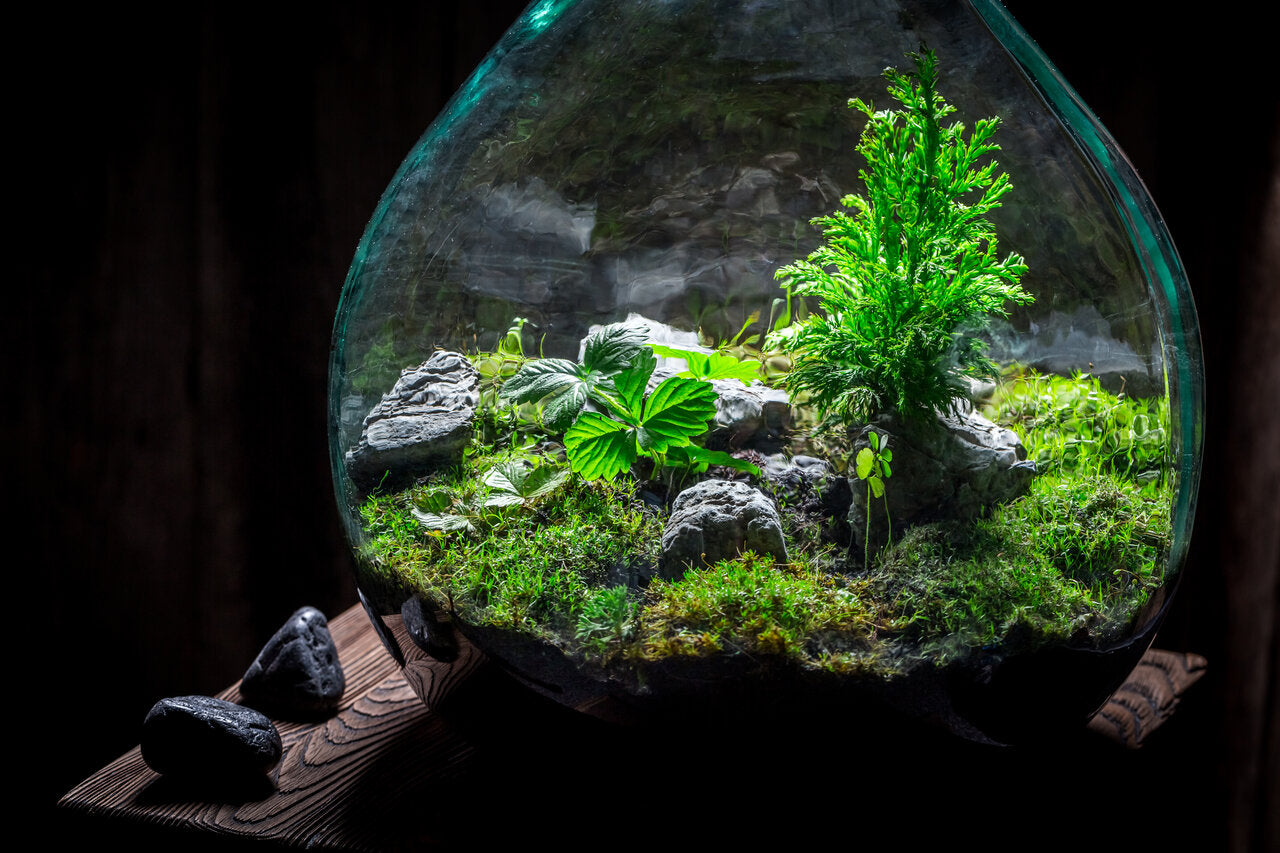 Artificial Aquarium Plants: Aquascaping for Beginners