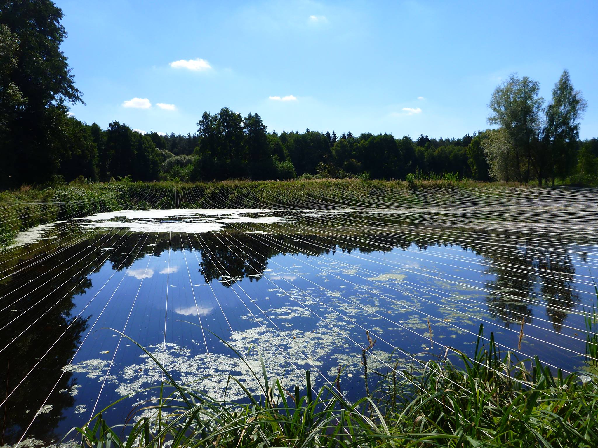Pond Air Accessories