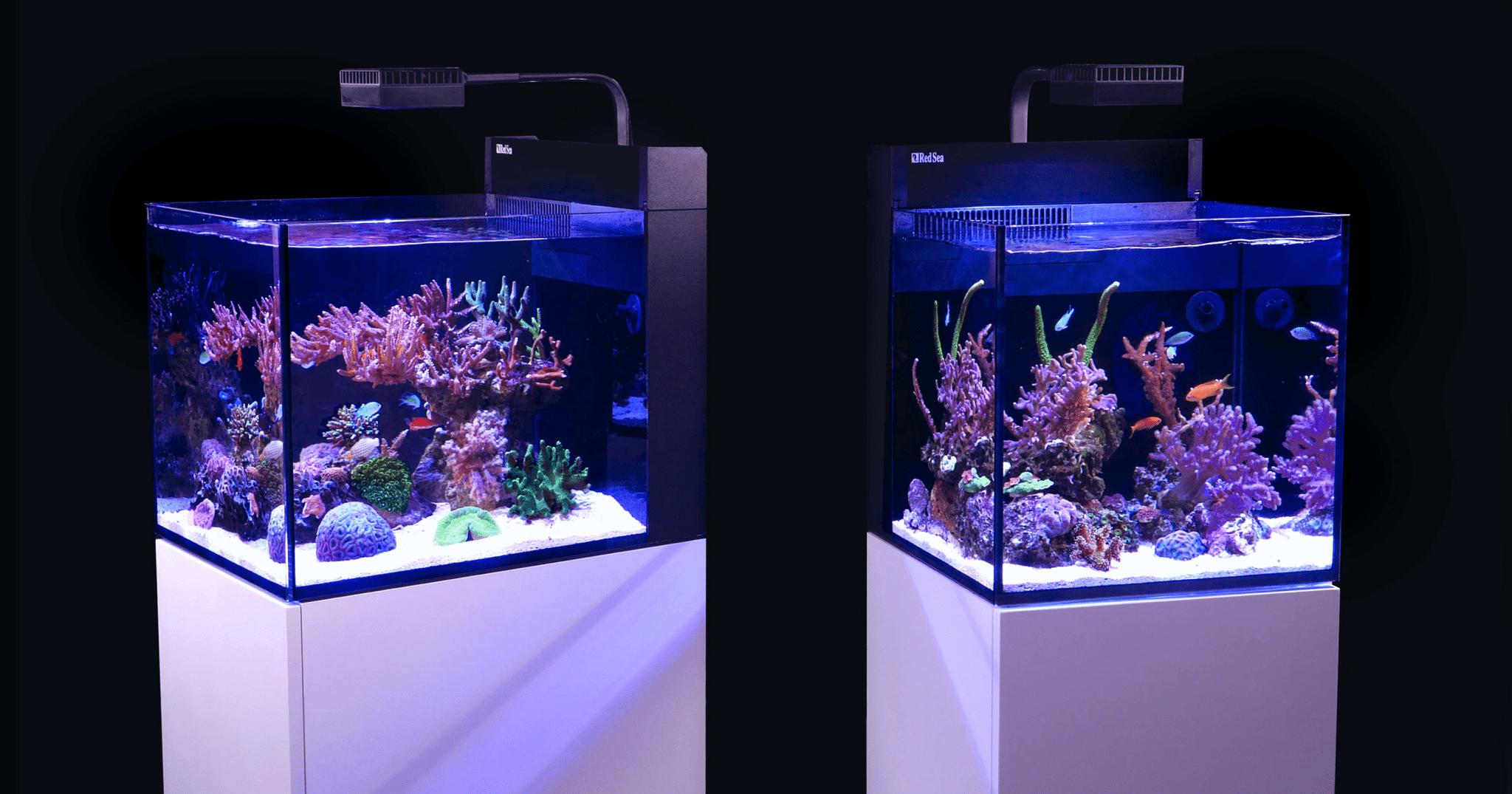 Red Sea MAX Series - Perfect Aquatics Ltd
