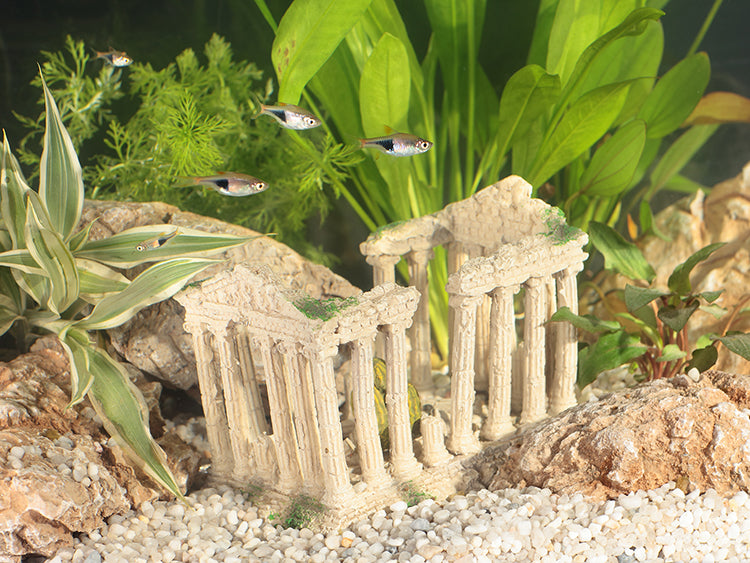 Aquarium Decor