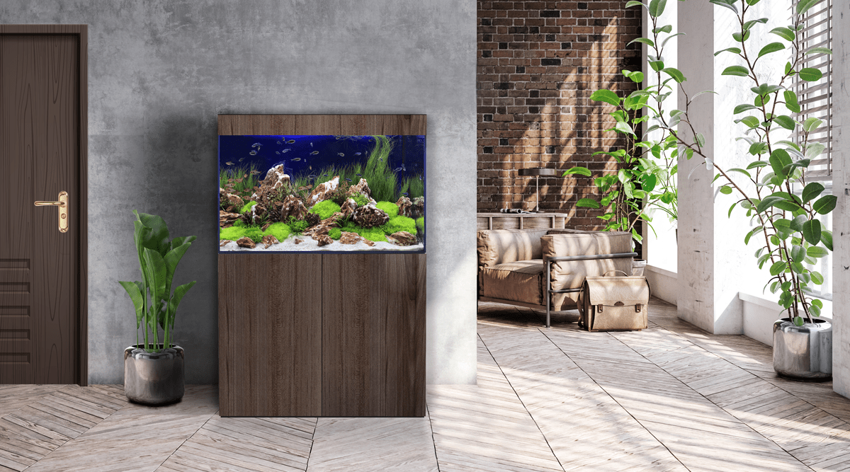 D-D Aqua Pro - Perfect Aquatics Ltd
