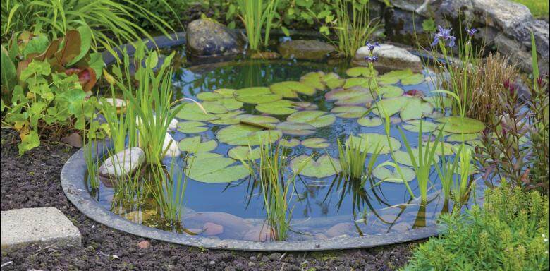 Preformed Ponds & Liner - Perfect Aquatics Ltd