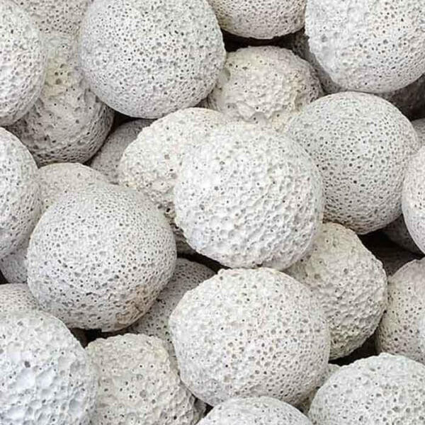 Marine Media - Perfect Aquatics Ltd