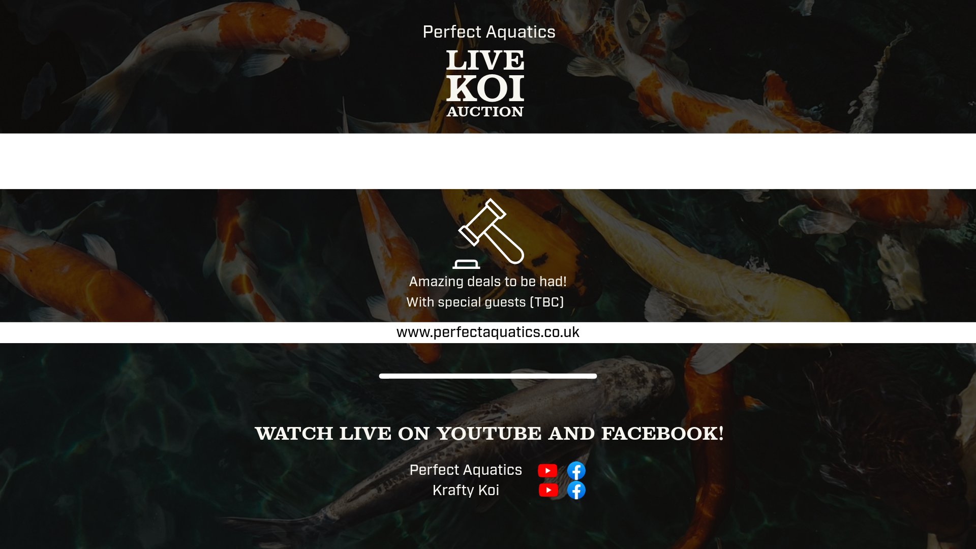 Perfect Aquatics Koi Auction
