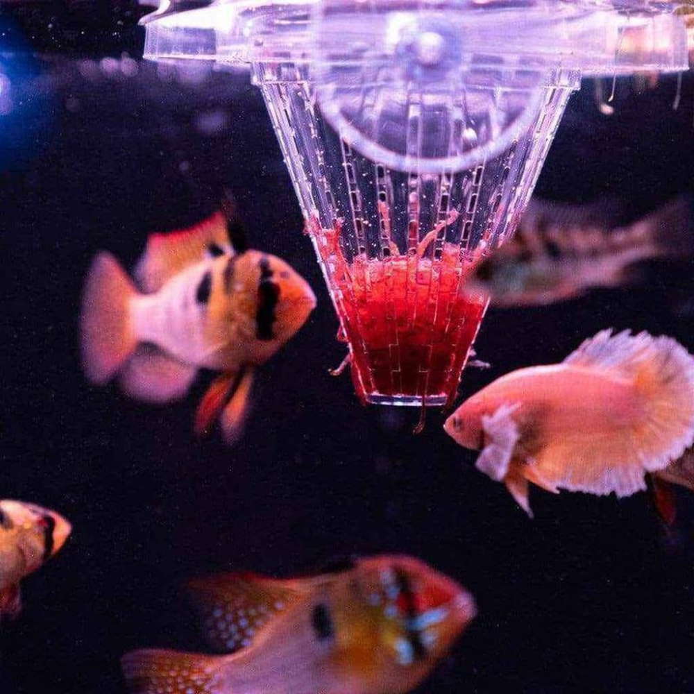 Frozen Fish Food - Perfect Aquatics Ltd