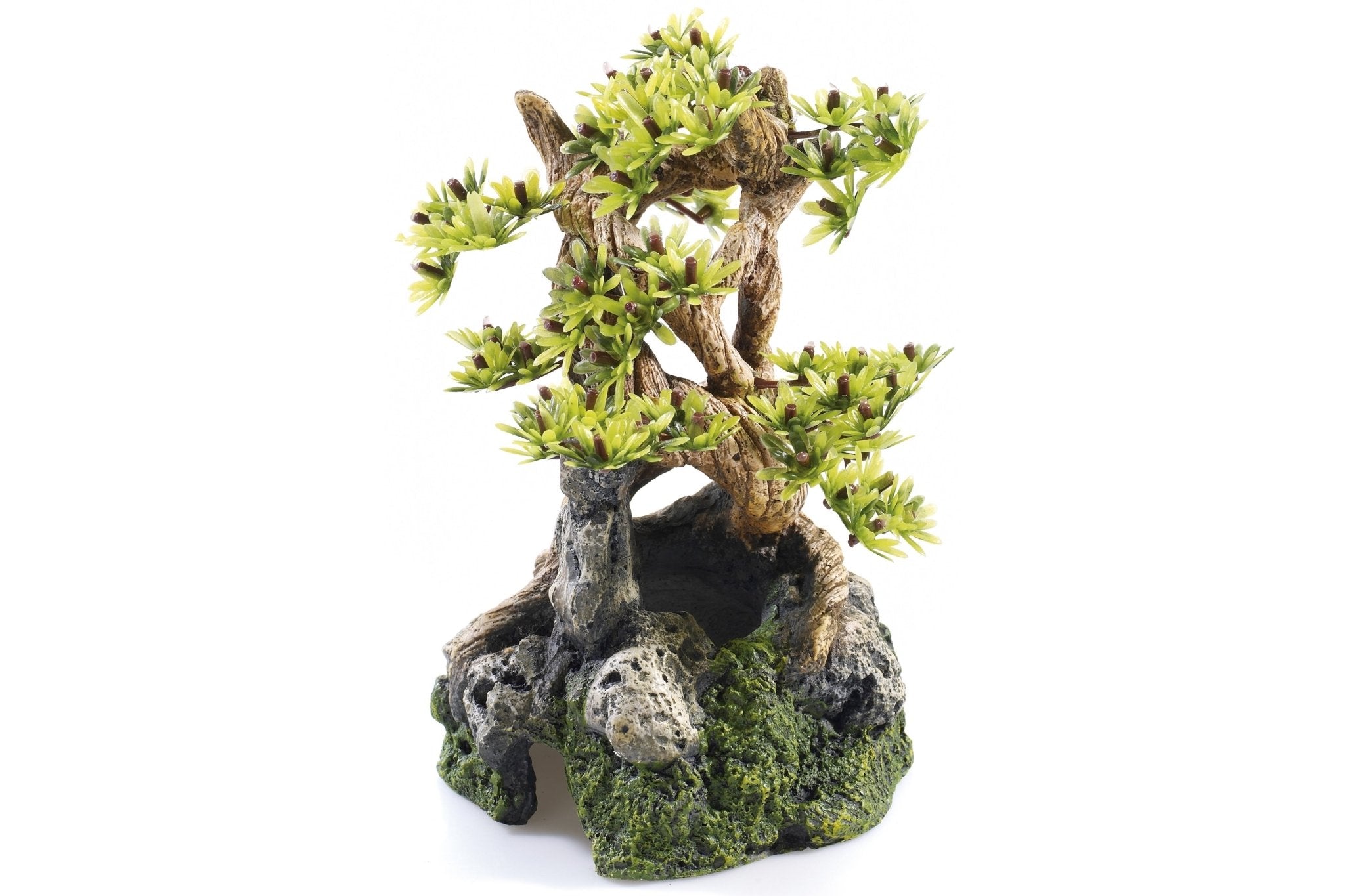 Classic Bonsai On Rocks - Perfect Aquatics Ltd