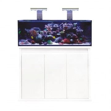 D - D Reef - Pro 1200 Aquarium - Standard Sump - Perfect Aquatics Ltd