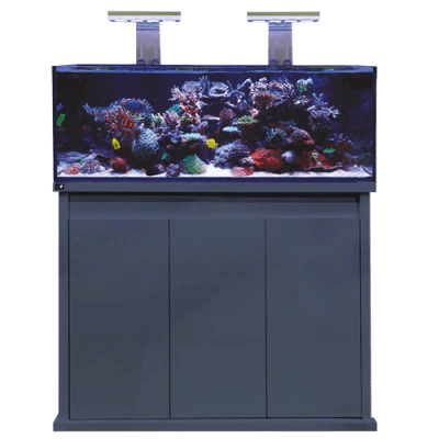 D - D Reef - Pro 1200 Aquarium - Standard Sump - Perfect Aquatics Ltd