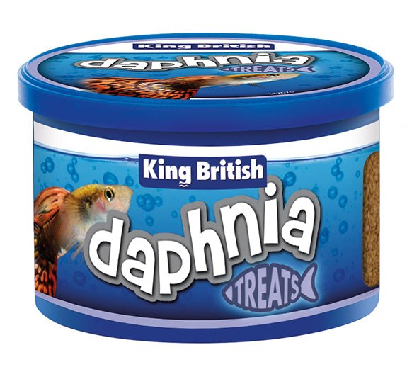 King British Daphnia Treats 18g - Perfect Aquatics Ltd