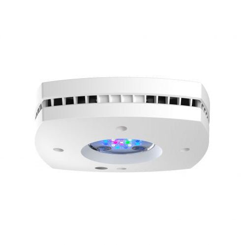 AI Prime 16 HD LED Light - Perfect Aquatics Ltd