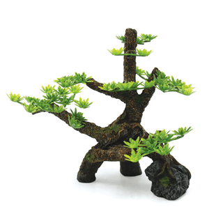 Hugo Pine Tree 18X8x17cm - Perfect Aquatics Ltd