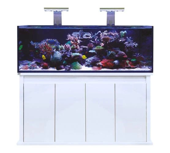 D - D Reef - Pro 1500s Deluxe - Clarisea Sump - Perfect Aquatics Ltd