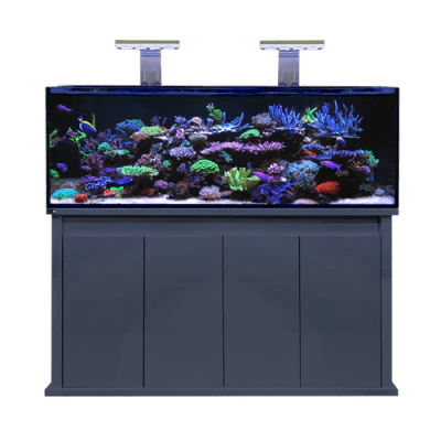 D - D Reef - Pro 1500S Aquarium - Clarisea Ready Sump - Perfect Aquatics Ltd