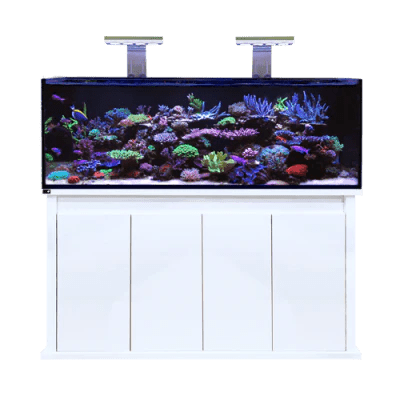 D - D Reef - Pro 1500S Aquarium - Clarisea Ready Sump - Perfect Aquatics Ltd