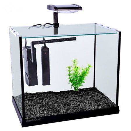 Aqua One Betta Oasis Glass Aquarium - Black - Perfect Aquatics Ltd