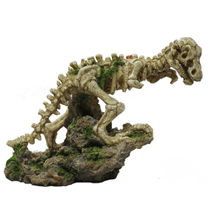 Hugo Mr Rex 24X9x18cm - Perfect Aquatics Ltd