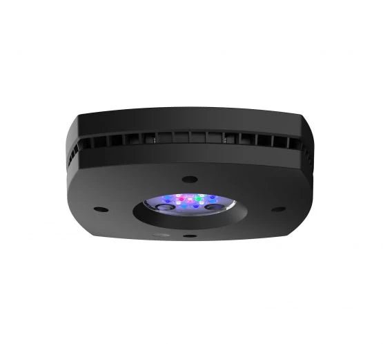 D - D Reef - Pro 600 Deluxe - Clarisea Sump - Perfect Aquatics Ltd