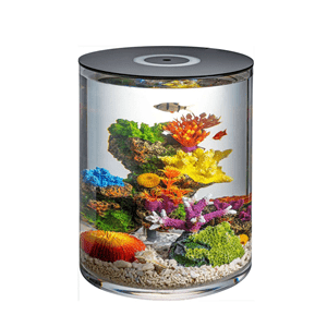 Takia Acrylic Home H35xd30cm - Perfect Aquatics Ltd