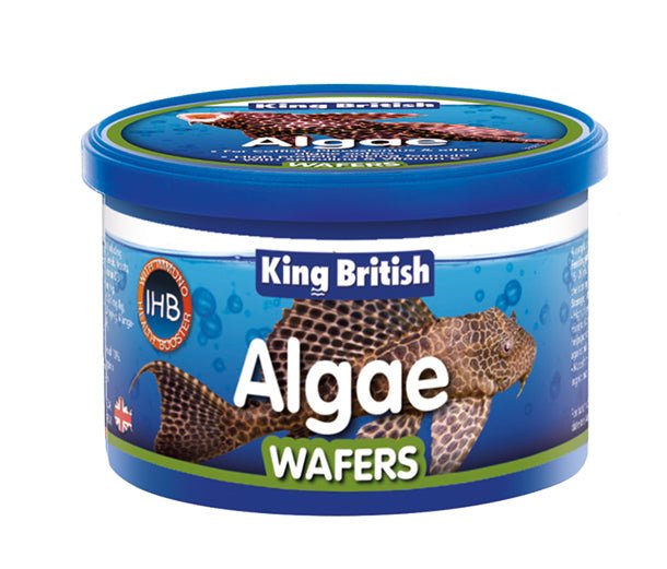 King British Algae Wafers - Perfect Aquatics Ltd