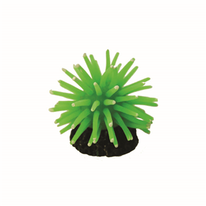 Hugo Anenome Green 5X5x3 - Perfect Aquatics Ltd