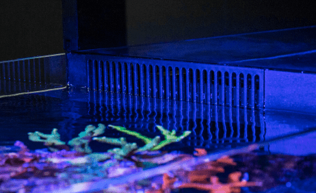 Red Sea MAX NANO G2 XL - Perfect Aquatics Ltd