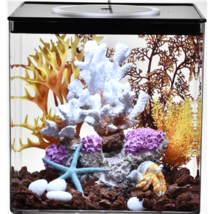 Haku Fish Home L30xw30xh30cm - Perfect Aquatics Ltd
