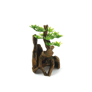 Hugo Pine Tree 7X6x11cm - Perfect Aquatics Ltd