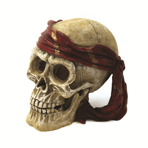 Hugo Bandana Skull 11X10x11cm - Perfect Aquatics Ltd