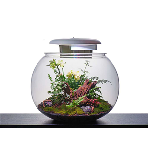 KYU Acrylic Globe Aquarium