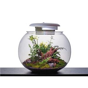 KYU Acrylic Globe Aquarium - Perfect Aquatics Ltd