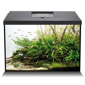 Aquael Leddy Aquariums - Perfect Aquatics Ltd