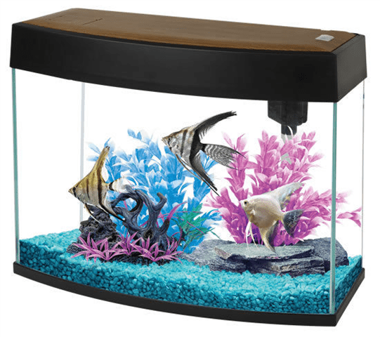Fish R Fun Panoramic Aquarium - Perfect Aquatics Ltd