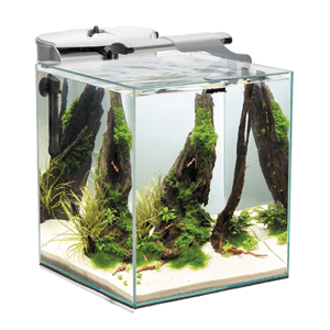 AquaEl Shrimpset Duo 49L - Perfect Aquatics Ltd