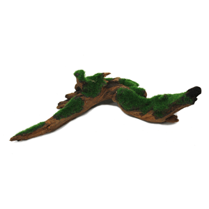 Hugo Aquascape Greenery 19X25cm - Perfect Aquatics Ltd