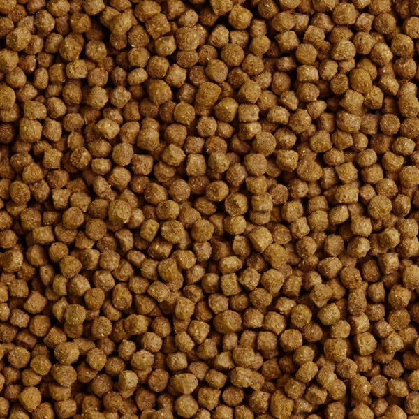 Shark Pond Food - Pellets Junior 3mm