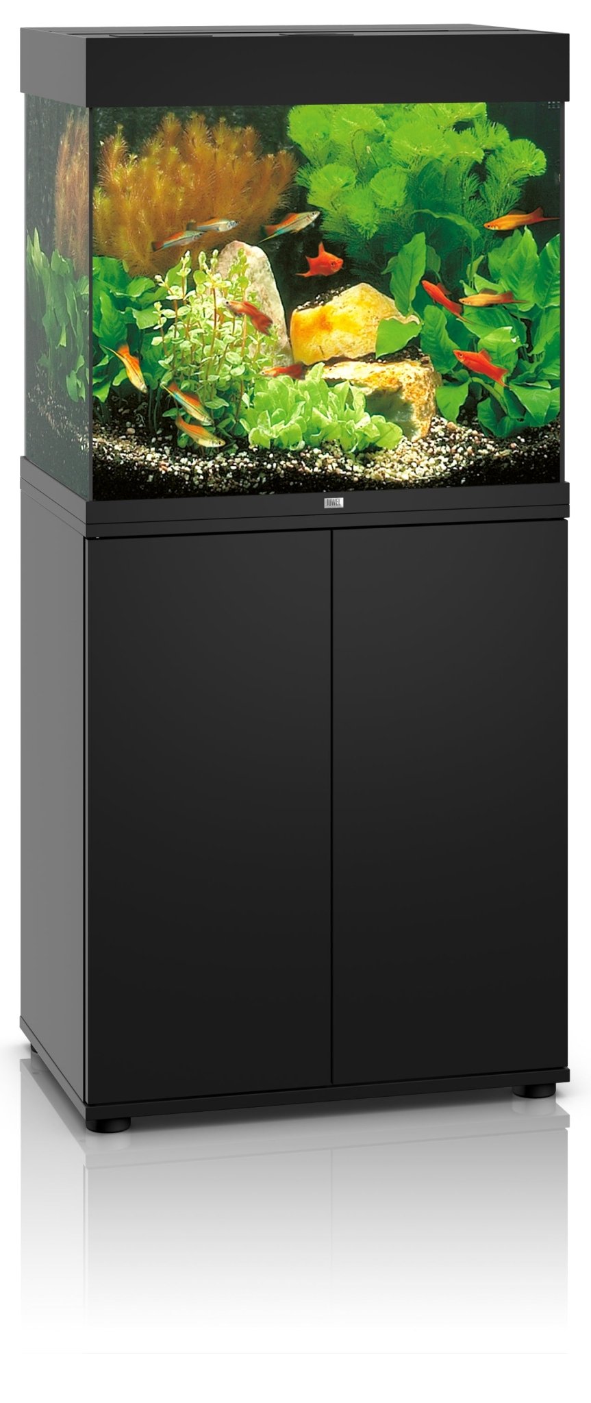 Juwel Lido 120 Tropical Aquarium and Cabinet - Perfect Aquatics Ltd