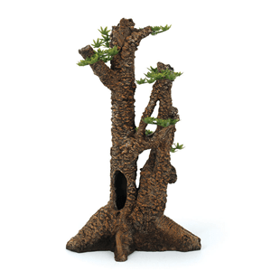 Hugo Pine Tree 20X17x35cm - Perfect Aquatics Ltd