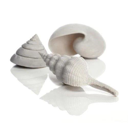 BiOrb Sea Shell Set of 3 - Perfect Aquatics Ltd