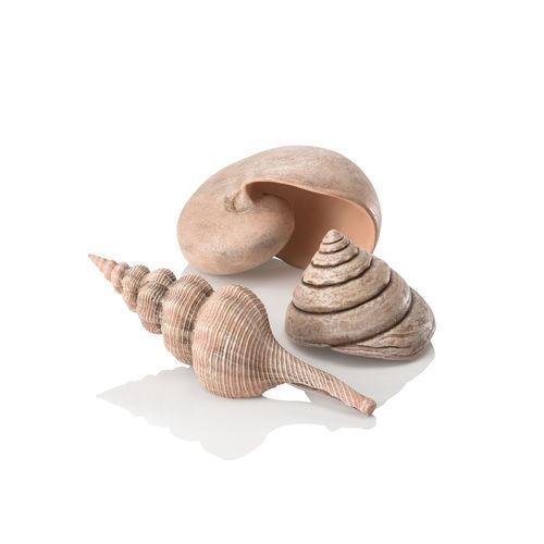 BiOrb Sea Shell Set of 3 - Perfect Aquatics Ltd