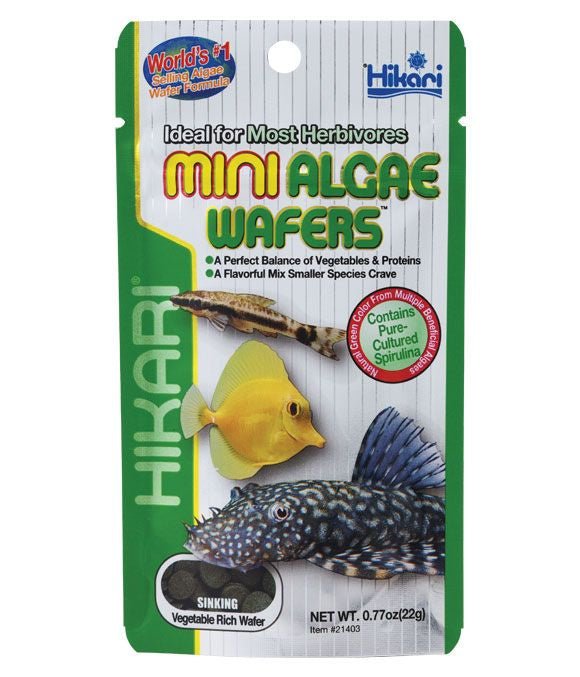 Hikari Mini Algae Wafers - Perfect Aquatics Ltd