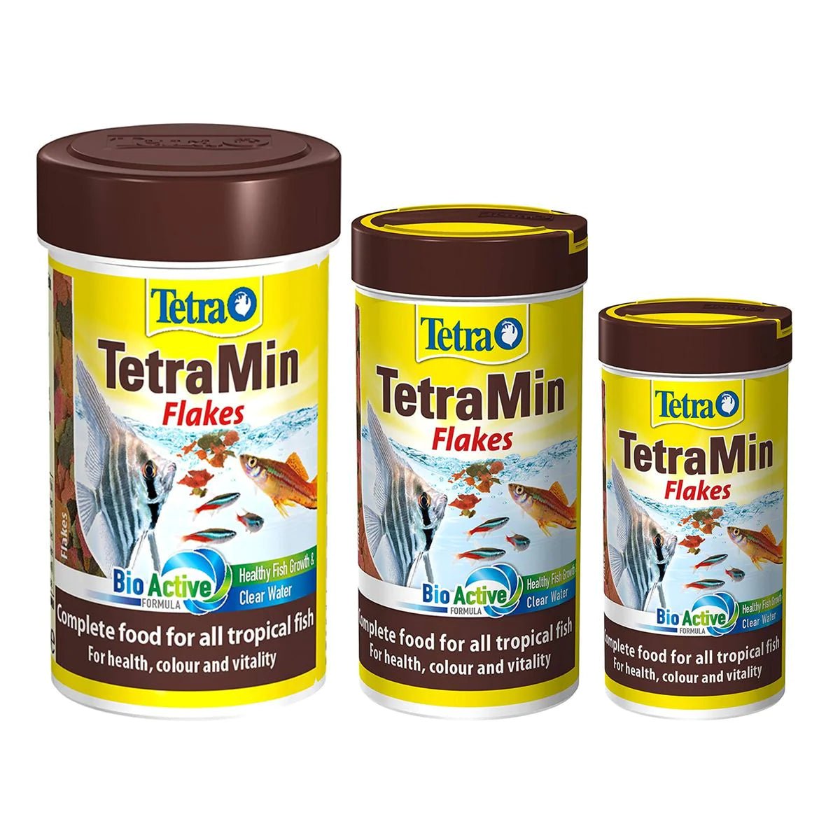 Tetra Tetramin Flakes - Perfect Aquatics Ltd