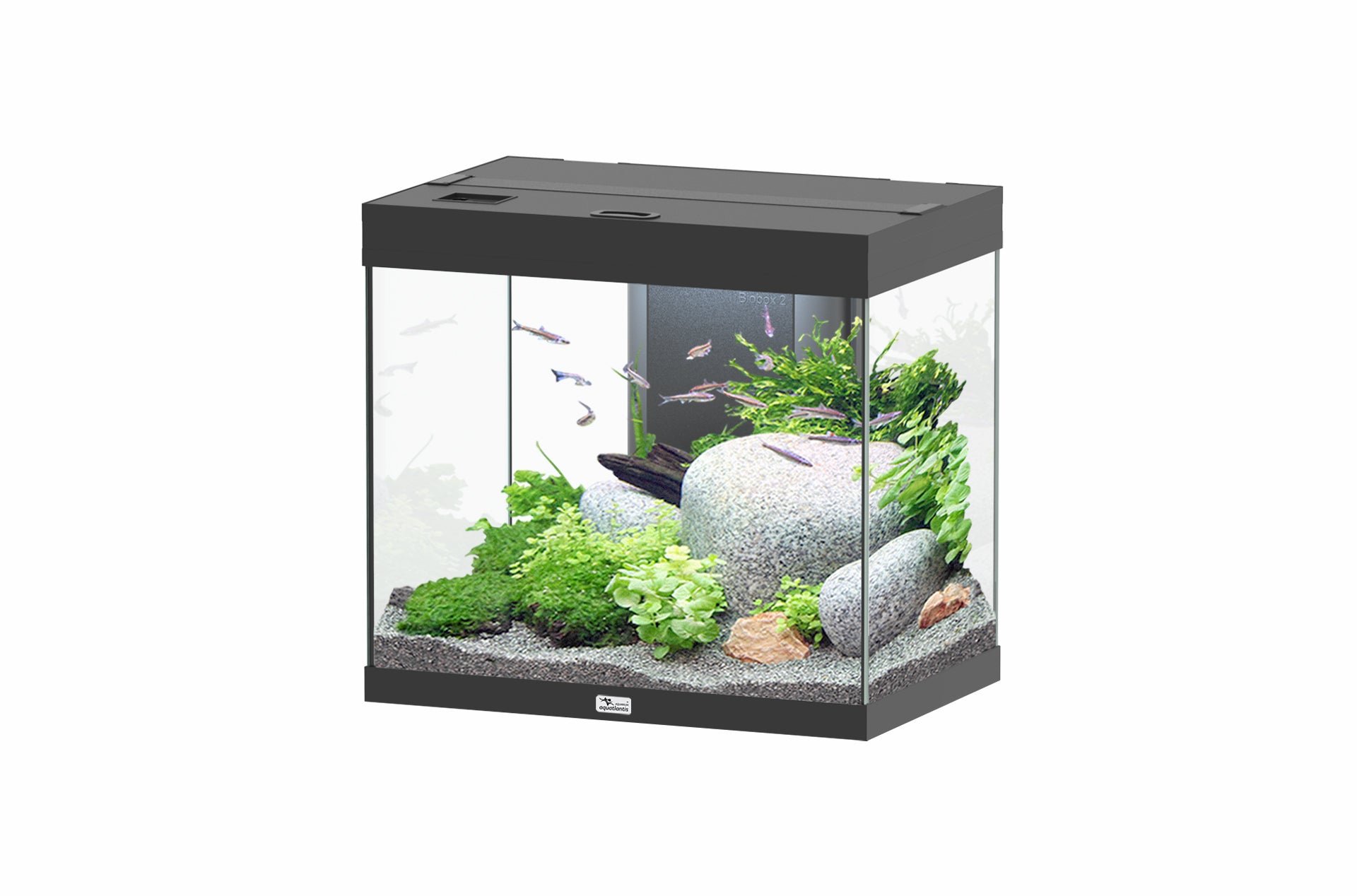 Aquatlantis Splendid Ultra 60 - Perfect Aquatics Ltd