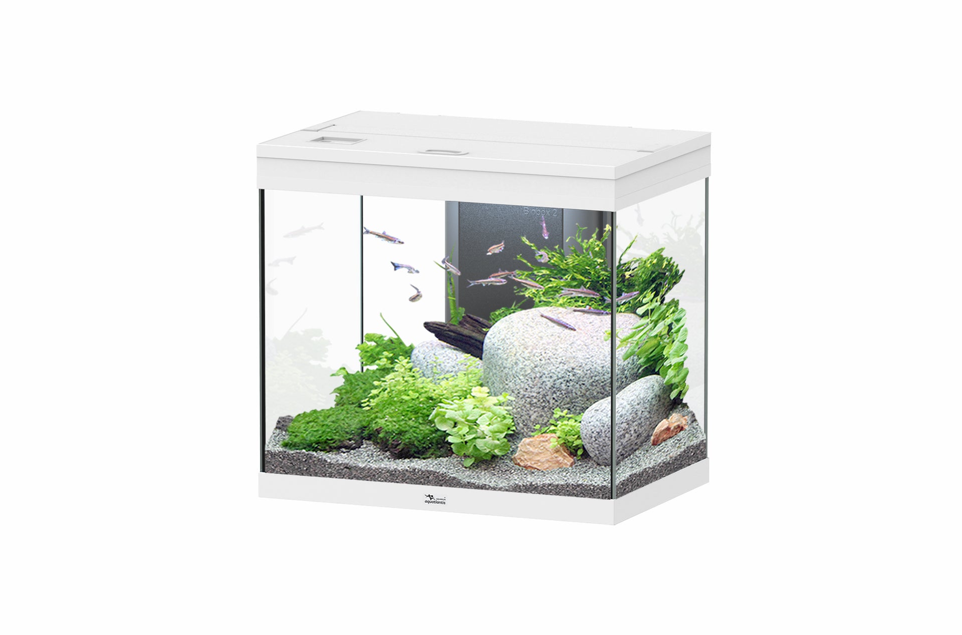 Aquatlantis Splendid Ultra 60 - Perfect Aquatics Ltd
