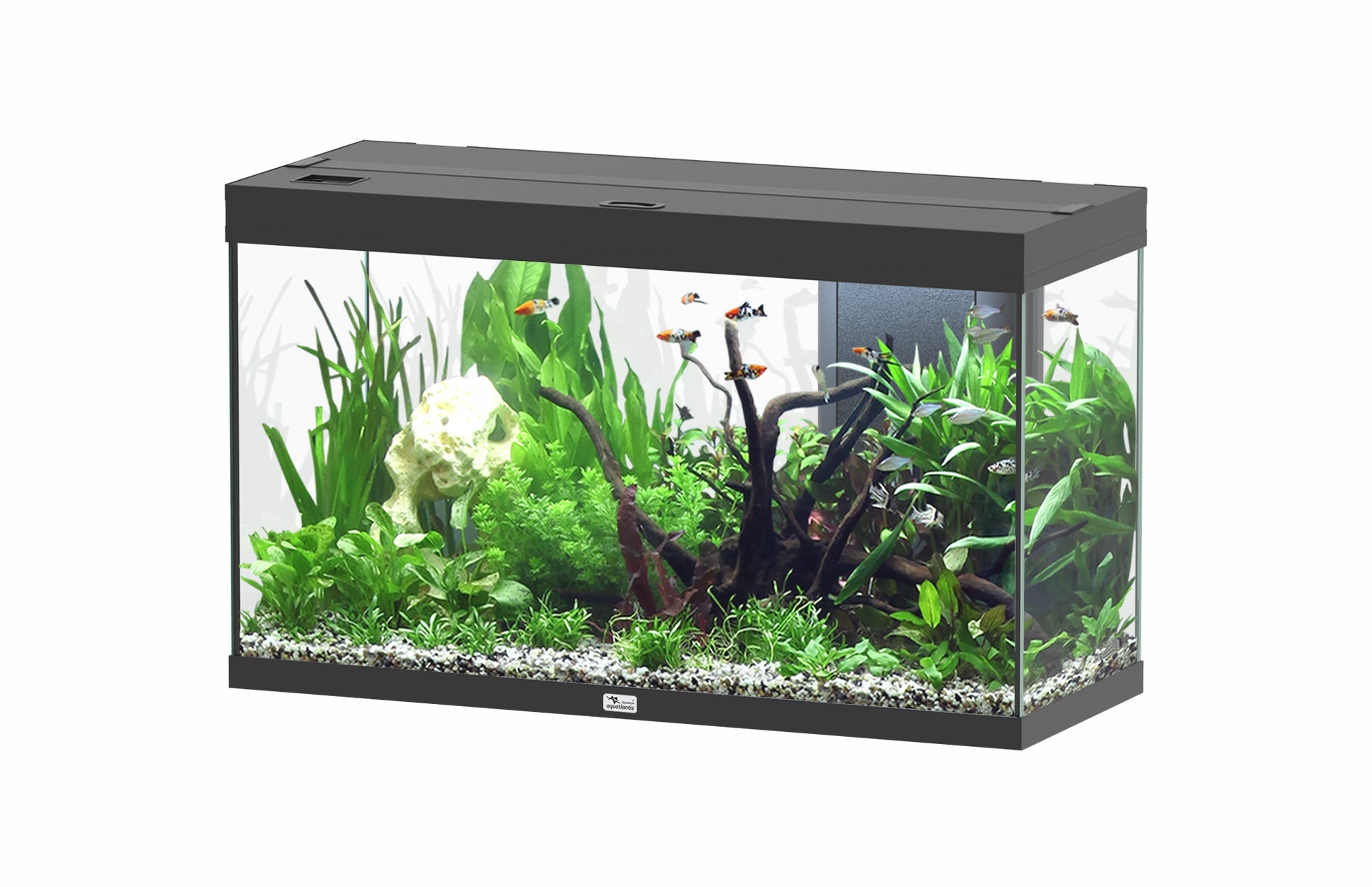 Aquatlantis Splendid Ultra 100 - Perfect Aquatics Ltd