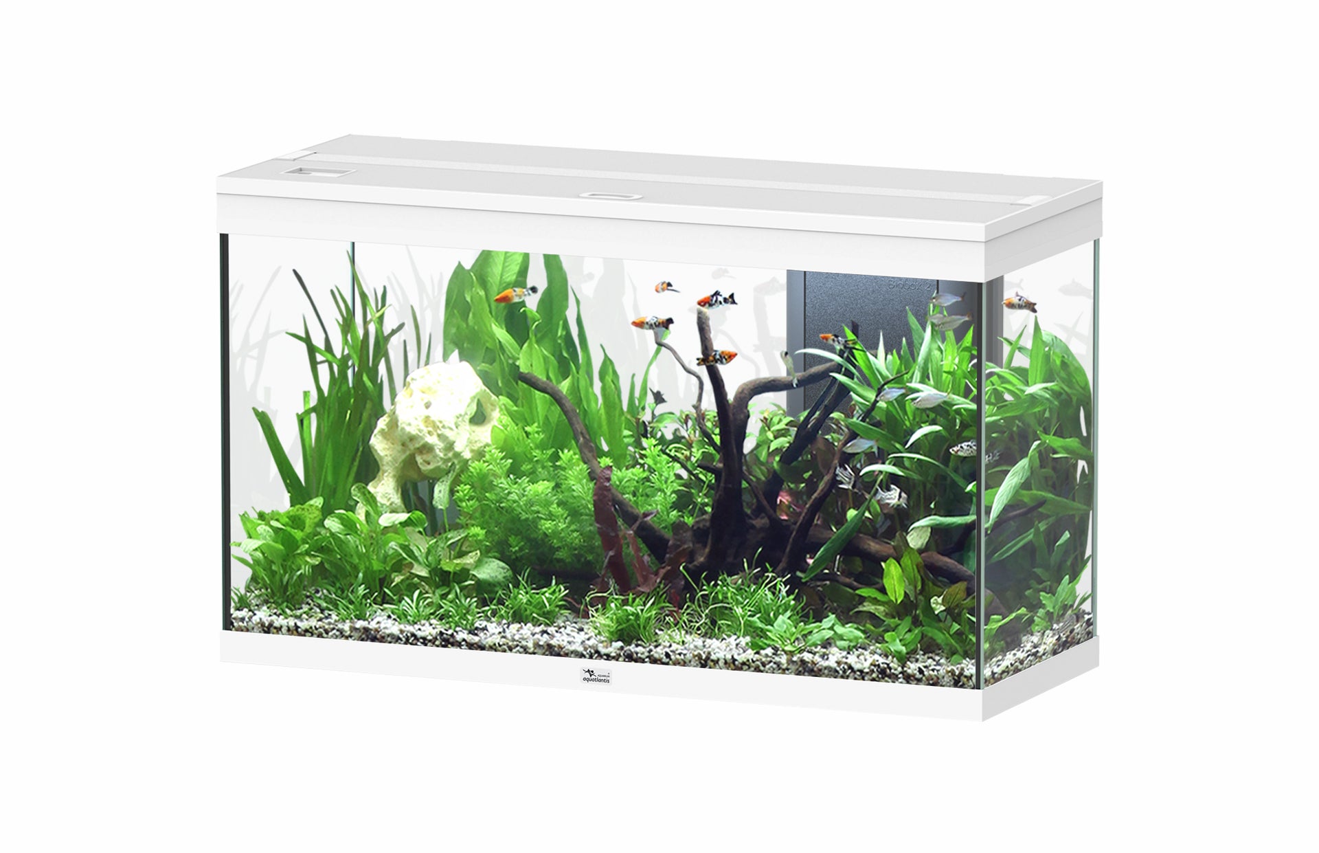 Aquatlantis Splendid Ultra 100 - Perfect Aquatics Ltd